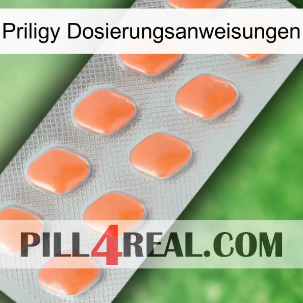 Priligy Dosage Instructions 26.jpg